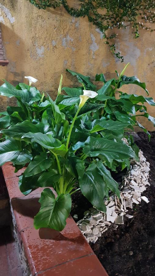 Il Giardino Sul Corso Leilighet Scafati Eksteriør bilde