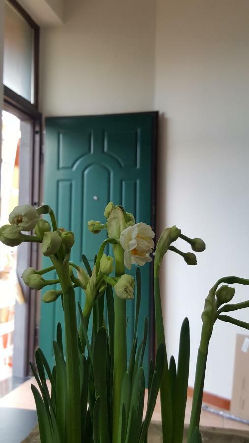 Il Giardino Sul Corso Leilighet Scafati Eksteriør bilde